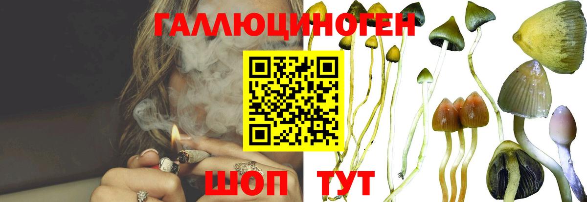 Псилоцибиновые грибы Psilocybe  Псилоцибиновые грибы прущие грибы  Вход с VPN  наркотики  Шадринск 