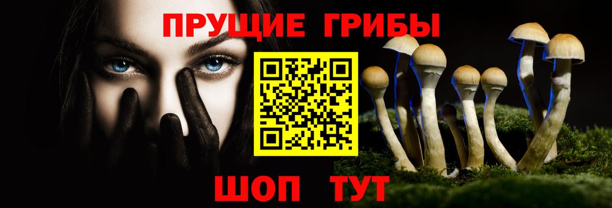 Галлюциногенные грибы Psilocybine cubensis Шадринск